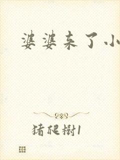 婆婆来了小说封面