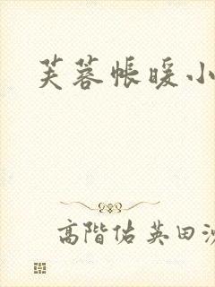 芙蓉帐暖小说