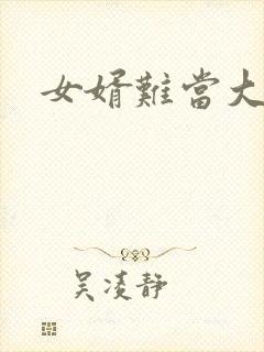 女婿难当大结局