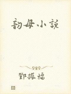 韵母小说封面