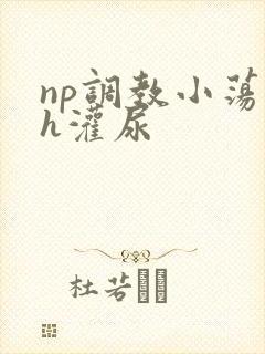 np调教小荡货h灌尿封面