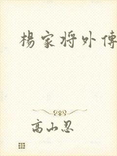 杨家将外传