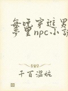 每晚穿进男神的梦里npc小说封面