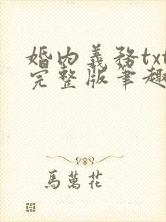 婚内义务txt完整版笔趣阁