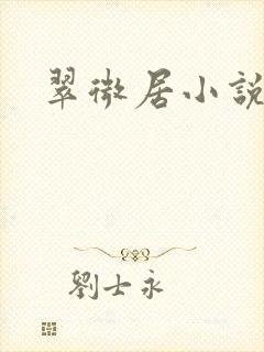 翠微居小说封面