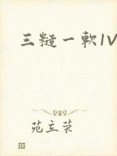三糙一软1V3封面