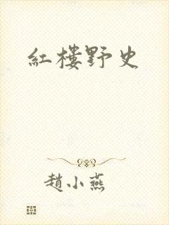 红楼野史