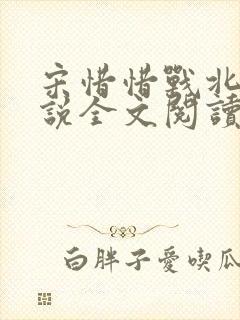 宋惜惜战北望小说全文阅读