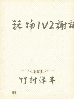 玩物1V2谢识封面