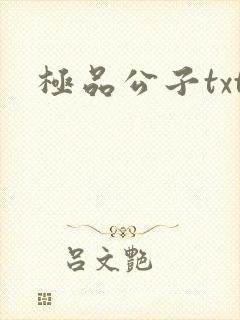 极品公子txt