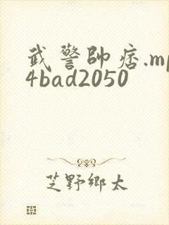 武警帅痞.mp4bad2050