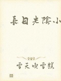 长日光阴小说