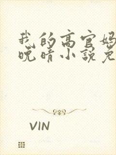 我的高官妈妈苏晚晴小说免费阅读