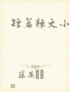 短篇辣文小说封面