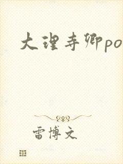大理寺卿po封面