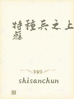 特种兵之上你成瘾封面
