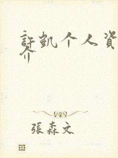 许凯个人资料简介封面