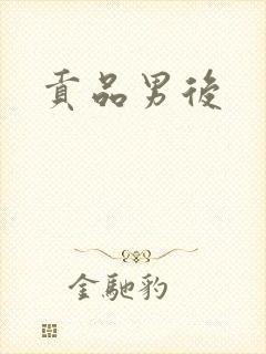 贡品男后