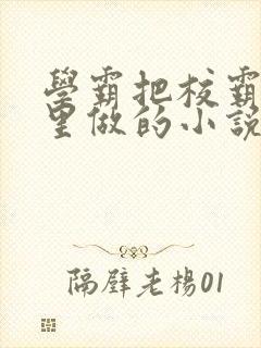 学霸把校霸往死里做的小说封面