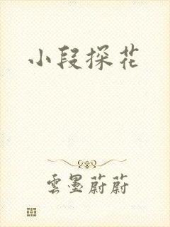 小段探花