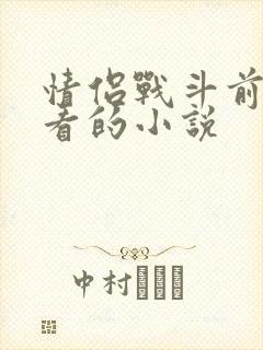 情侣战斗前适合看的小说
