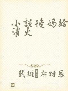 小说后妈给我消消火封面
