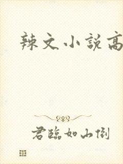 辣文小说高h