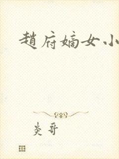 赵府嫡女小说
