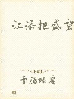 江添把盛望顶哭封面