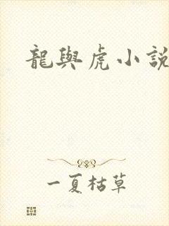 龙与虎小说