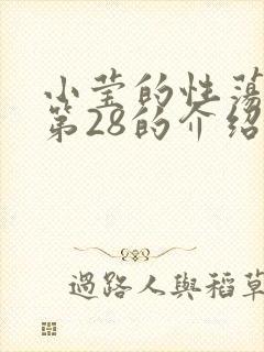 小莹的性荡生活第28的介绍