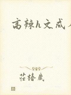 高辣h文成人h封面