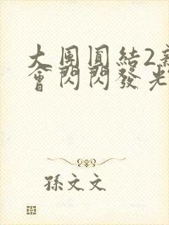 大团圆结2亲情会闪闪发光亲情会2