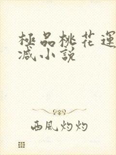 极品桃花运未删减小说封面