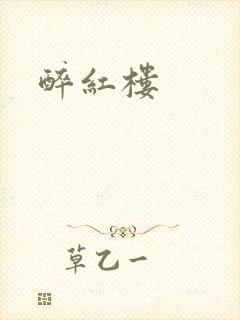 醉红楼