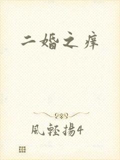 二婚之痒