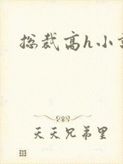 总裁高h小说