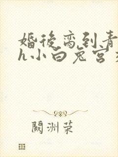 婚后脔到青梅哭h小白兔宫交h封面