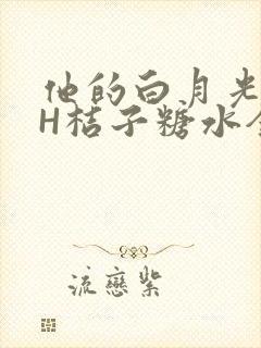 他的白月光HVH桔子糖水全文