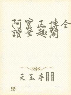 阿宾正传全文阅读笔趣阁