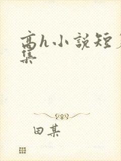 高h小说短篇合集