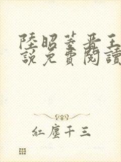 陆昭菱晋王的小说免费阅读封面