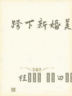 跨下新婚美妇封面