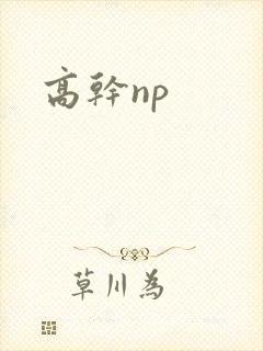 高干np封面