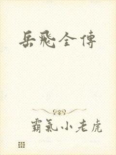 岳飞全传