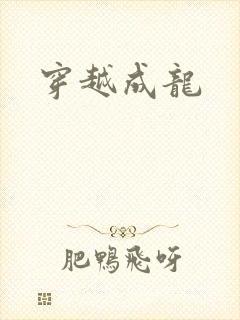 穿越成龙