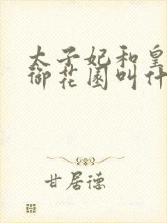 太子妃和皇帝在御花园叫什么小说封面