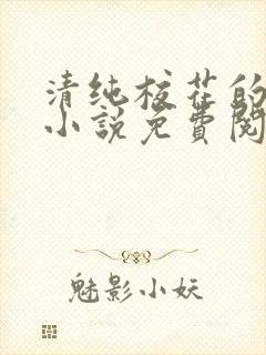 清纯校花的秘密小说免费阅读