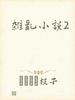 杂乱小说2