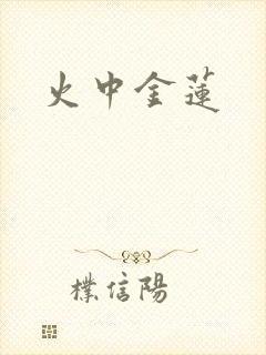 火中金莲封面